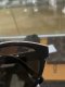 Chanel SQUARE SUNGLASSES 5414 C.534/3