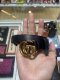 Gucci GG MARMONT BELT SIZE.90