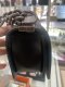 Chanel BOY 8 BLACK LAMB RHW HOLO18
