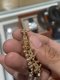 Chanel EARRING CRYSTAL GOLD 2021