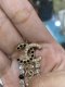 Chanel EARRING CRYSTAL GOLD 2021