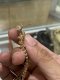 Chanel EARRING CRYSTAL GOLD 2021