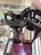 YSL TRIBUTE 5” BLACK PATENT SIZE39