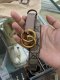 Gucci BELT SIZE80 GG NUDE