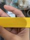 Gucci BELT GG SIZE75 DOT YELLOW