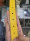 Gucci BELT GG SIZE75 DOT YELLOW