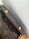 Louis Vuitton PEGUS 45 MONOGRAM ROLLING 2004