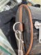 Celine CYLINDER BAG IN TRIOMPHE CANVAS 2023