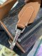 Celine CYLINDER BAG IN TRIOMPHE CANVAS 2023
