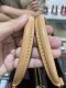 Louis Vuitton MONTAIGNE BB MONOGRAM CA4129