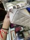 Chanel MINI KELLY WHITE GHW MICROCHIP