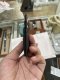 Dior DIOR CARD HOLDER 2023