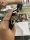 Dior DIOR CARD HOLDER 2023