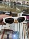 Balenciaga SUNGLASSES WHITE