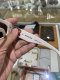 Balenciaga SUNGLASSES WHITE