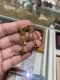 Louis Vuitton ICONIC EARRINGS GOLD 2023