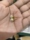 Dior TRIBALES EARRINGS GOLD