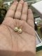 Dior TRIBALES EARRINGS GOLD