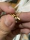 Dior EARRING STAR GOLD