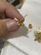 Dior EARRING STAR GOLD
