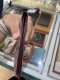 Goyard SHORT WALLET BURGUNDY 2023