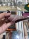 Goyard SHORT WALLET BURGUNDY 2023