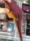 Goyard SHORT WALLET BURGUNDY 2023