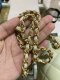 Chanel MINI7” LIGHT GREEN ADJUSTABLE GHW MICROCHIP(copy)
