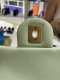 Chanel MINI7” LIGHT GREEN ADJUSTABLE GHW MICROCHIP(copy)