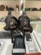 Bottega Veneta MESH PUMS BLACK SIZE35(copy)