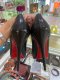 CHRISTIAN LOUBOUTIN HIGH HEEL SIZE38