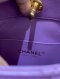 Chanel SMALL HOBO PURPLE LAMB GHW MICROCHIP