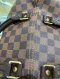 Louis Vuitton SPEEDY 30 DAMIER EBENE 2011