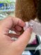 Hermes PLUSH HORSE SMALL