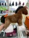 Hermes PLUSH HORSE SMALL