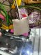 Gucci PADLOCK SHOULDER BAG WHITE