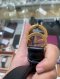 Gucci BELT SIZE85 2CM. GG GOLD