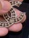 Chanel BROOCH 3.5 CM. CC