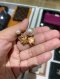 Dior TRIBALS EARRING FLOWER