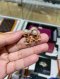 Dior TRIBALS EARRING FLOWER