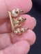 Chanel EAR CUFF CC LOGO 2022