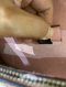Gucci DIONYSUS MEDIUM DIAMOND PINK