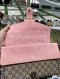 Gucci DIONYSUS MEDIUM DIAMOND PINK