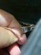 Louis Vuitton NEO PM NOIR EPI 2013