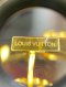 Louis Vuitton ICONIC EARRING GOLD FLOWER 2024