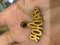 Dior J'dior earring bee