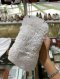 Prada TRANGLE FAUX FUR HANDBAG