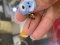 Dior J'dior earring bee