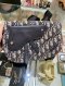 Dior SADDLE POUCH 2020