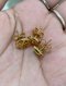 Louis Vuitton EARRING 3PCS. GOLD 2024